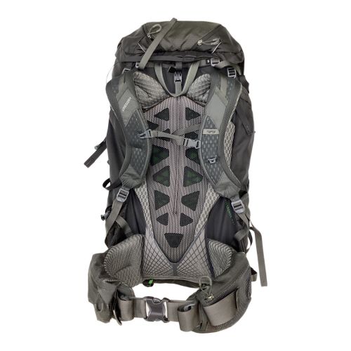 GREGORY (グレゴリー) バックパック 65L グレー BALTORO65 背面長 約41～45cm 50L～(テント泊)