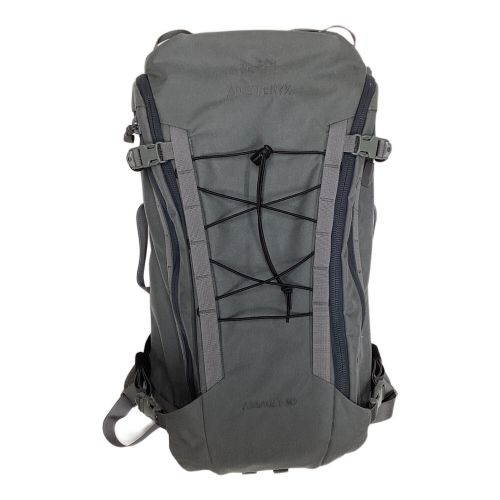 ARC'TERYX (アークテリクス) バックパック 30L グレー 17723 ASSAULT30 背面長 約41～45cm 21-30L(日帰り)