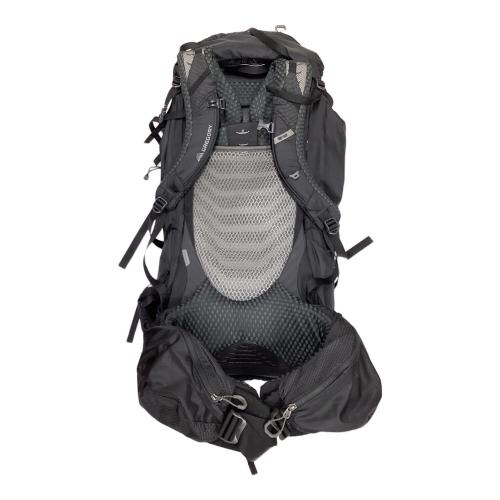 GREGORY (グレゴリー) バックパック 65L ブラック BALTORO65 背面長 約41～45cm 50L～(テント泊)