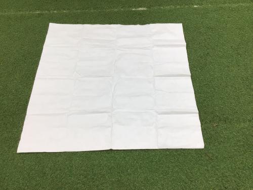 LOCUS GEAR (ローカスギア) 登山用テント KHUFU TYVEK 265cm x 幅146cm x 高さ130cm 1～2人用