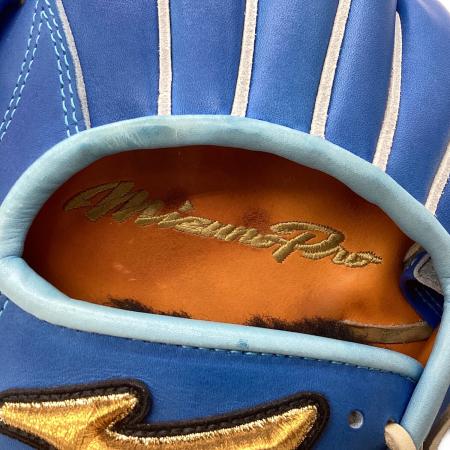 MIZUNO (ミズノ) 硬式グローブ スカイブルー 波賀ジャパン ケース・元