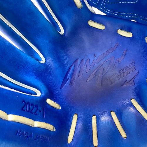 MIZUNO (ミズノ) 硬式グローブ スカイブルー 波賀ジャパン ケース・元