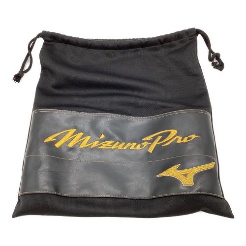 MIZUNO (ミズノ) 硬式グローブ スカイブルー 波賀ジャパン ケース・元