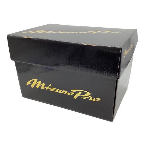 MIZUNO (ミズノ) 硬式グローブ スカイブルー 波賀ジャパン ケース・元