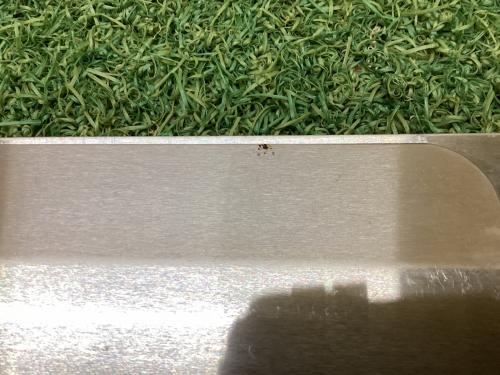 Snow peak (スノーピーク) ファニチャーアクセサリー シルバー 2016年雪峰祭限定 FES-161 IGTウインドスクリーンセット