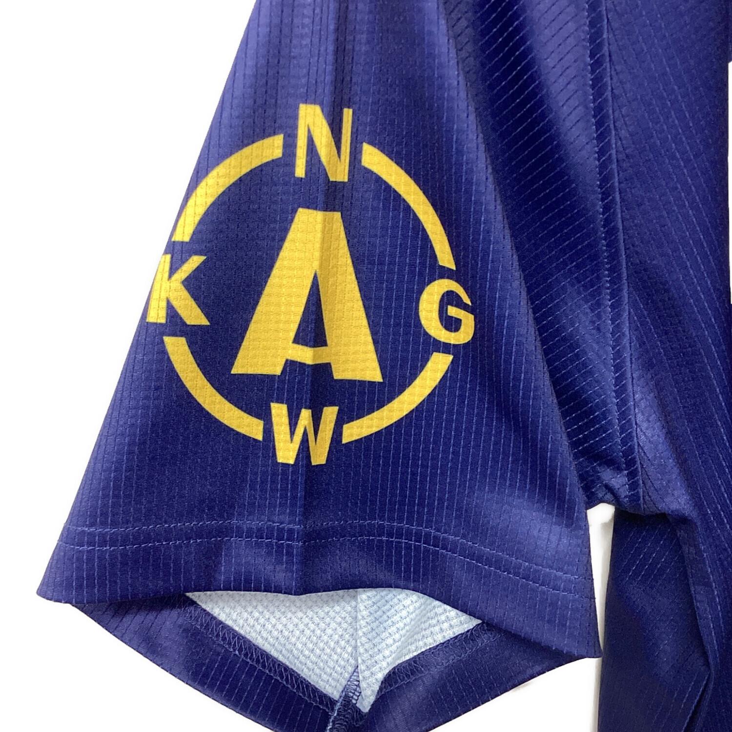 横浜DeNAベイスターズ (ヨコハマディーエヌエーベイスターズ) 応援