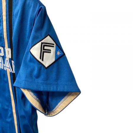 北海道日本ハムファイターズ (ホッカイドウニッポンハムファイターズ