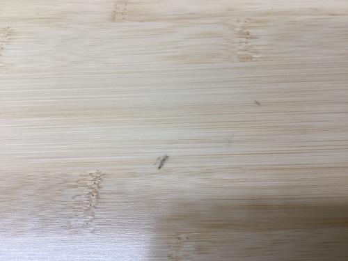 Snow peak (スノーピーク) アウトドアテーブル LV-015TR ワンアクションテーブルロング竹