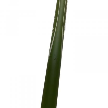 mont-bell (モンベル) トレッキングポール ~135cm グリーン ALPINE