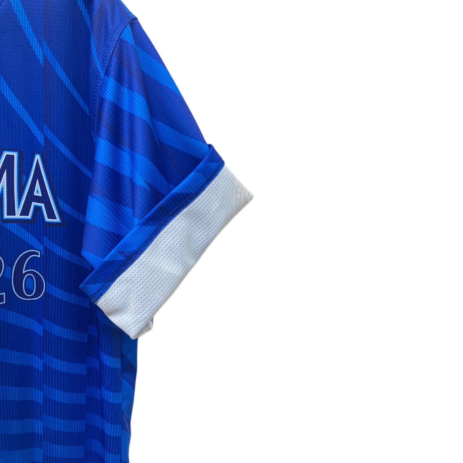 横浜DeNAベイスターズ (ヨコハマディーエヌエーベイスターズ) 応援