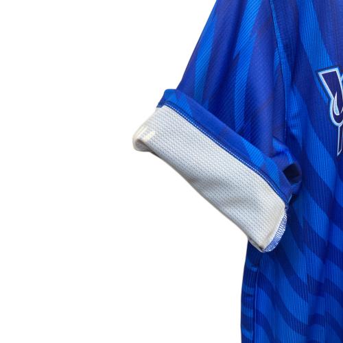 横浜DeNAベイスターズ (ヨコハマディーエヌエーベイスターズ) 応援