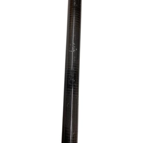 BLACK DIAMOND (ブラックダイヤモンド) トレッキングポール 120cm ホワイト アルパインカーボン