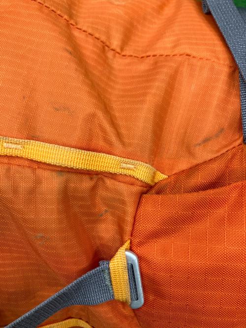 Patagonia (パタゴニア) バックパック 47995 35L オレンジ アセンジョニスト35