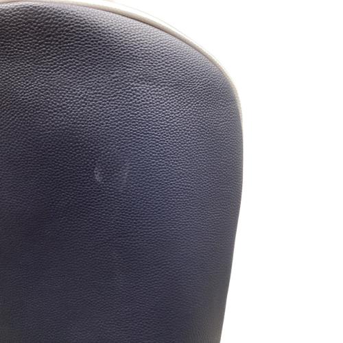 PiNG (ピン) キャディバッグ ホワイト KARSTEN