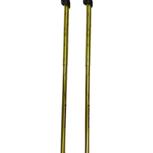 BLACK DIAMOND (ブラックダイヤモンド) トレッキングポール 105-125cm