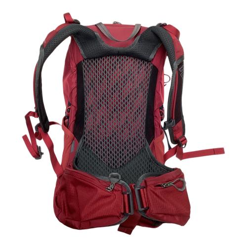 GREGORY (グレゴリー) バックパック 24L レッド JADE24LT