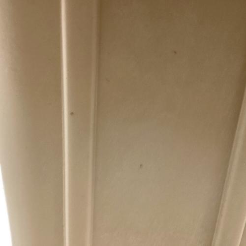 PELICAN (ペリカン) 50 クーラーボックス 50L ベージュ