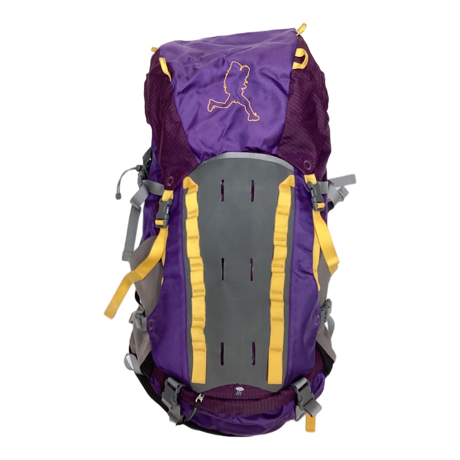 DANA DESIGN (ダナ デザイン) バックパック 希少品 コールマン時代品