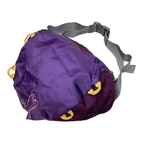 DANA DESIGN (ダナ デザイン) バックパック 希少品 コールマン時代品