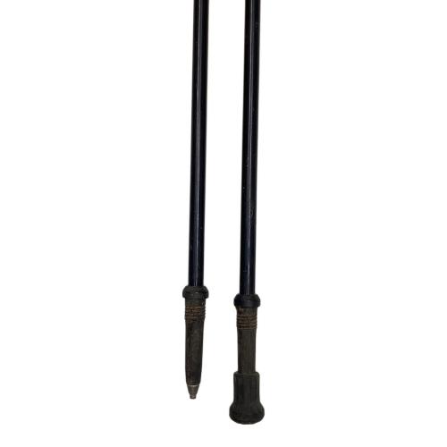 MOUNTAIN KING (マウンテンキング) トレッキングポール 2本セット 100cm ブラック Trail Blaze
