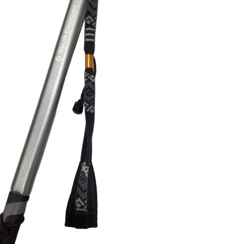 BLACK DIAMOND (ブラックダイヤモンド) ピッケル 60cm グレー レイブンウィズグリップ