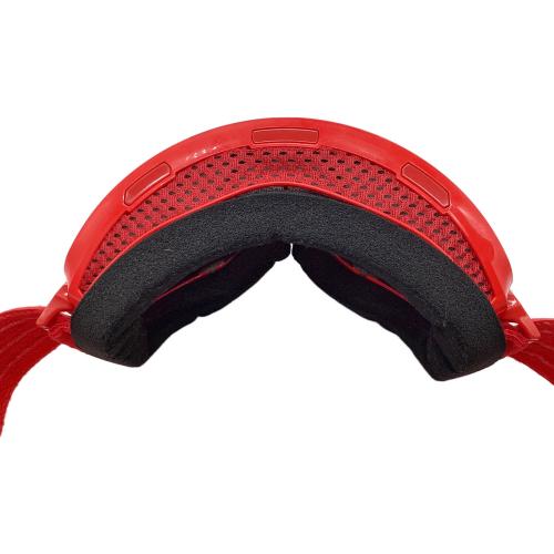 SWANS (スワンズ) リッジライン ゴーグル レッド ケース付