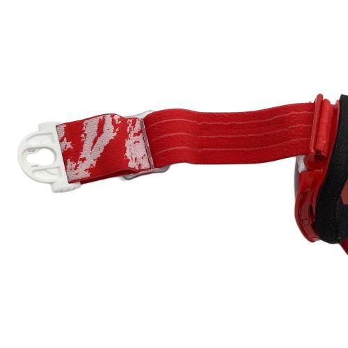 SWANS (スワンズ) リッジライン ゴーグル レッド ケース付