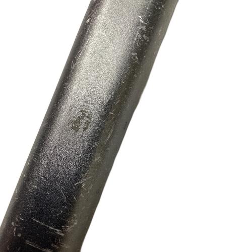 BLACK DIAMOND (ブラックダイヤモンド) ピッケル シルバー レイブン 65