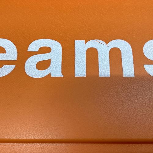 BEAMS (ビームス) 収納ケース オレンジ トランクカーゴ