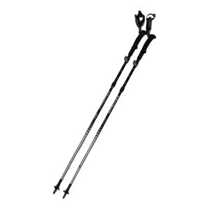 BLACK DIAMOND (ブラックダイヤモンド) トレッキングポール 2本セット 95-110cm ブラック DISTANCE FLZ