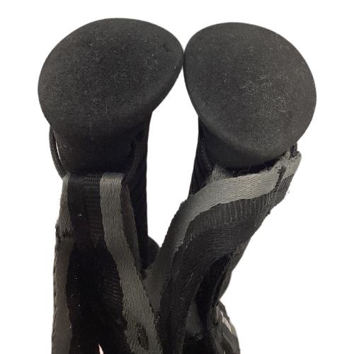 BLACK DIAMOND (ブラックダイヤモンド) トレッキングポール 2本セット 95-110cm ブラック DISTANCE FLZ