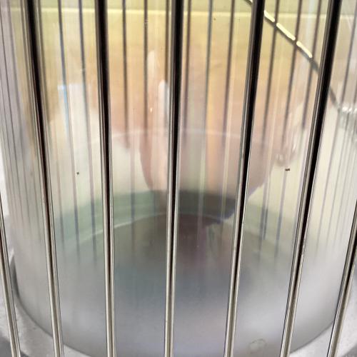 TOYOTOMI (トヨトミ) レインボーストーブ アウトドアヒーター RB-25E グレー タンク容量4.9L/暖房出力2.5kW PSCマーク有