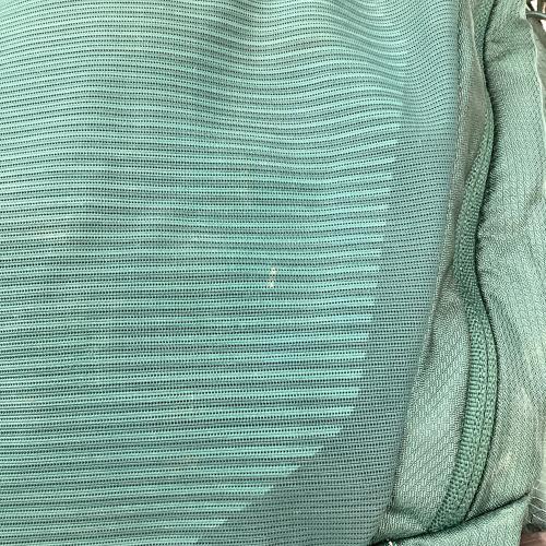 GREGORY (グレゴリー) バックパック SIZE WXS スカイブルー DEVA60