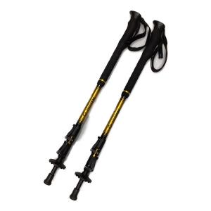 Helinox (ヘリノックス) トレッキングポール 約115~135cm オレンジ CASEWAY DL-135