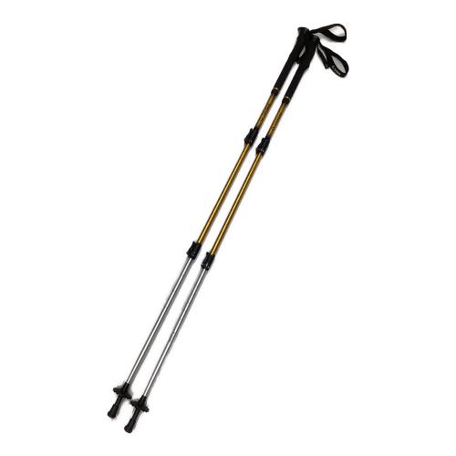 Helinox (ヘリノックス) トレッキングポール 約115~135cm オレンジ CASEWAY DL-135