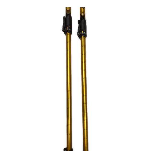 Helinox (ヘリノックス) トレッキングポール 約115~135cm オレンジ CASEWAY DL-135