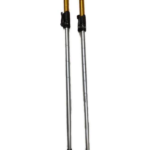 Helinox (ヘリノックス) トレッキングポール 約115~135cm オレンジ CASEWAY DL-135
