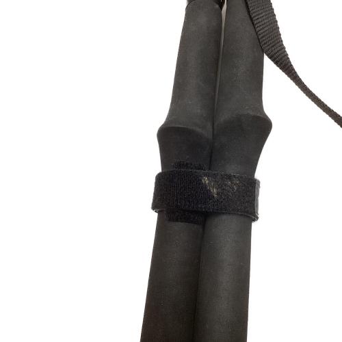 Helinox (ヘリノックス) トレッキングポール FL120 80-120cm イエロー PASSPORT