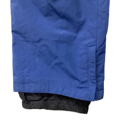 BURTON (バートン) M AK 2L CYCLIC PT スノーボードウェア(パンツ) SIZE M ブルー