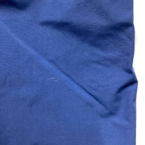 BURTON (バートン) M AK 2L CYCLIC PT スノーボードウェア(パンツ) SIZE M ブルー