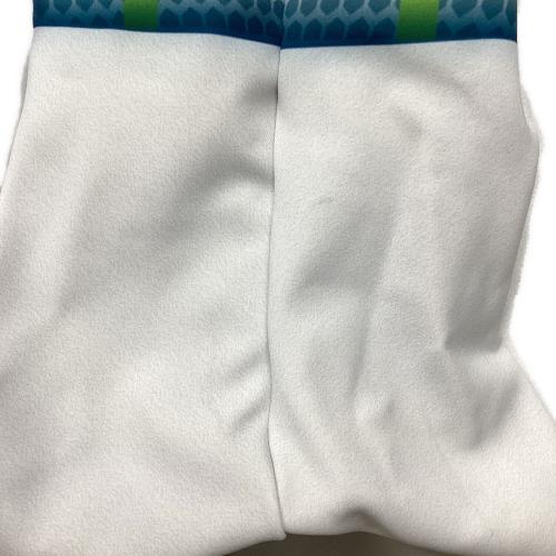 PHENIX (フェニックス) レーシングスーツ スキーウェア(ジャケット) PFA72GS01 20-21モデル メンズ SIZE XL スカイブルー