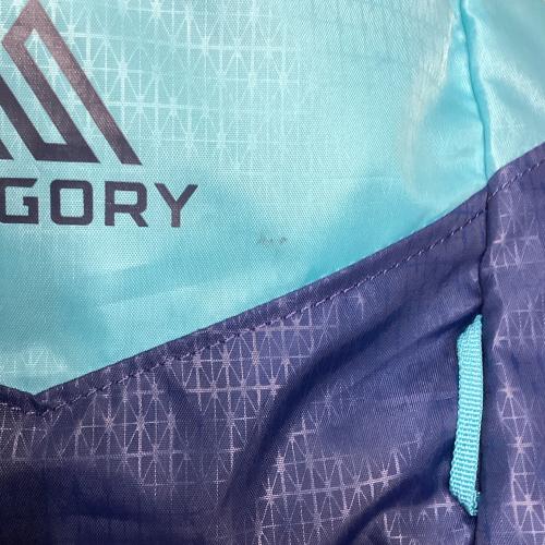 GREGORY (グレゴリー) バックパック レディース SIZE XS ブルー DEVA60