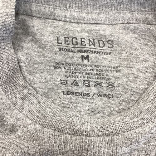 侍ジャパン (サムライジャパン) 応援グッズ SIZE M グレー WBC優勝記念Tee Tシャツ