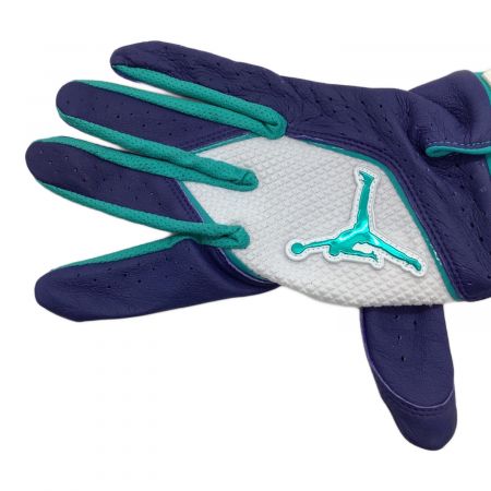 JORDAN (ジョーダン) バッティンググローブ XLサイズ ネイビー