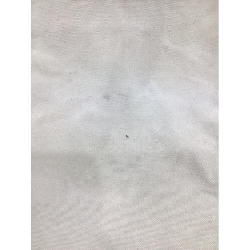 Snow peak (スノーピーク) アウトドアチェア ホワイト Take！チェアロング