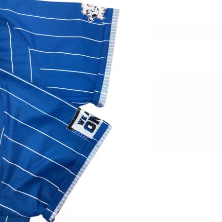 埼玉西武ライオンズ (サイタマセイブライオンズ) 応援グッズ SIZE XL