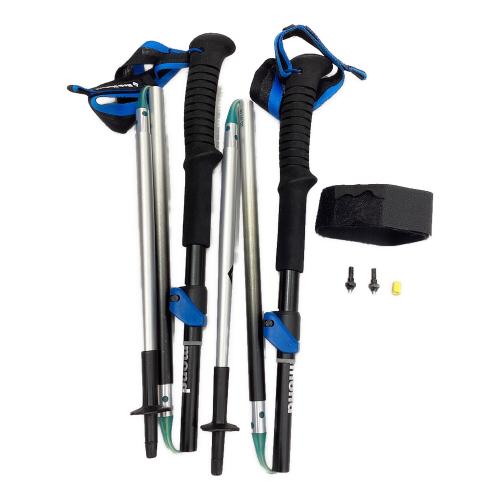 BLACK DIAMOND (ブラックダイヤモンド) トレッキングポール 105-125cm シルバー 2本セット DISTANCE FLZ