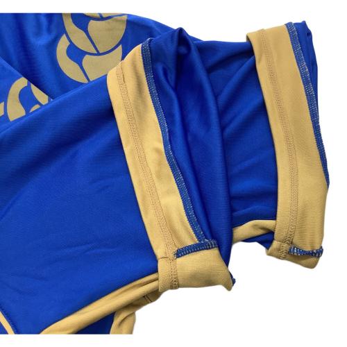 ポーツマスFC サッカーユニフォーム メンズ SIZE L ブルー canterbury FG-38900