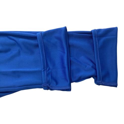イタリア代表 サッカーウェア(トップス) メンズ SIZE L ブルー puma 2012 ユニフォーム ホーム 長袖 740356