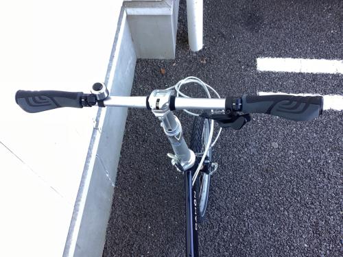 DAHON (ダホン) 折りたたみ自転車 20インチ ブラック MU D9 D909600538